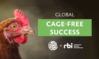 Burger King says No to cage eggs worldwide