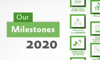 Our Milestones in 2020