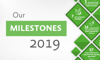 Our milestones in the year 2019