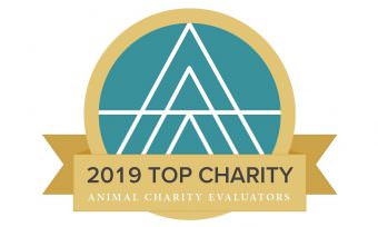 Effective Giving: We Are a 2019 Top Charity!
